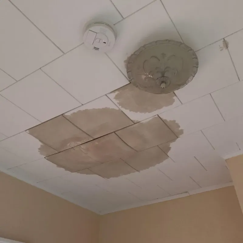 Ceiling Water Damage Repair in Clinch County, GA