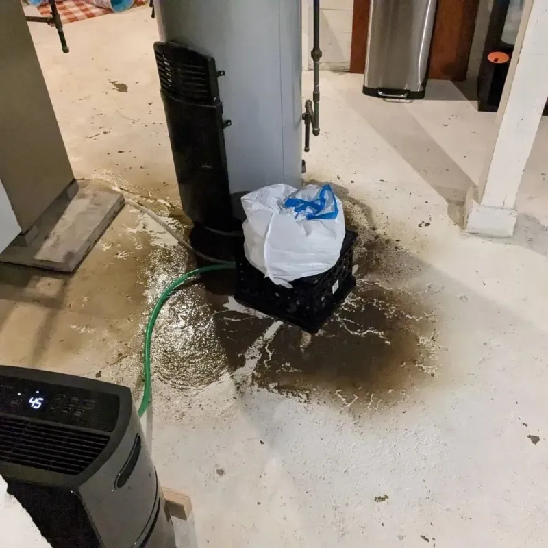 Sewage Backup Cleanup Service in Clinch County, GA